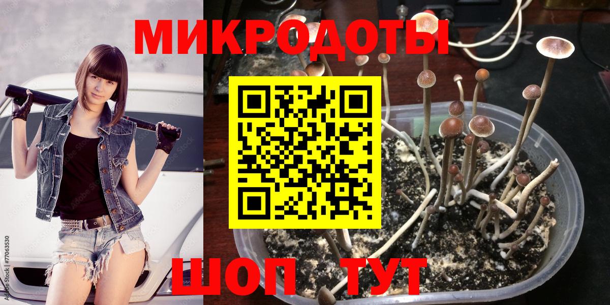 Галлюциногенные грибы MAGIC MUSHROOMS  Галлюциногенные грибы GOLDEN TEACHER  Лиски  Вход с VPN 