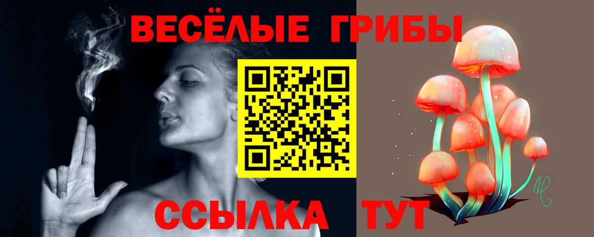 Псилоцибиновые грибы Psilocybe Лиски
